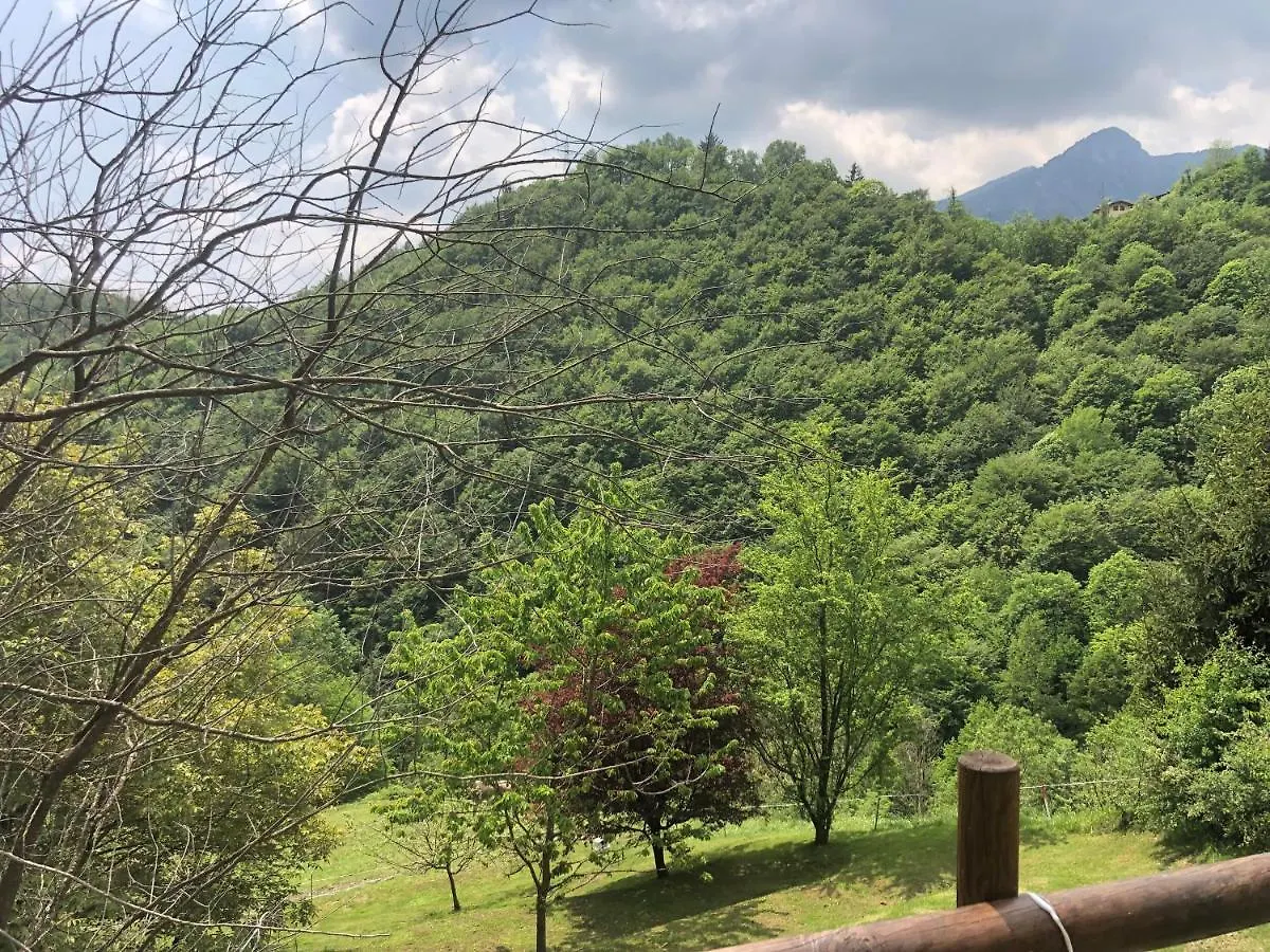 La Casa Del Bosco Villa Camerata Cornello