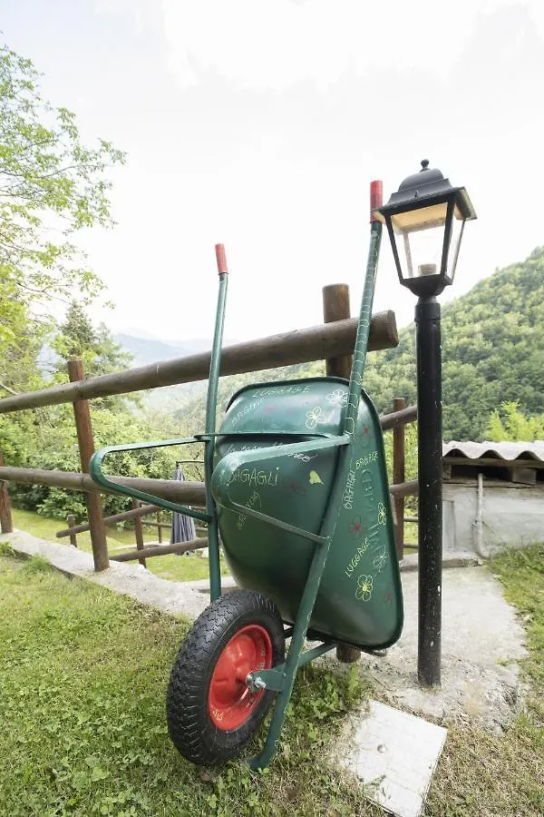 La Casa Del Bosco Villa Camerata Cornello Holiday home